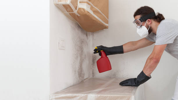 Professional Mold Inspection And Testing technician working in West Olive, MI
